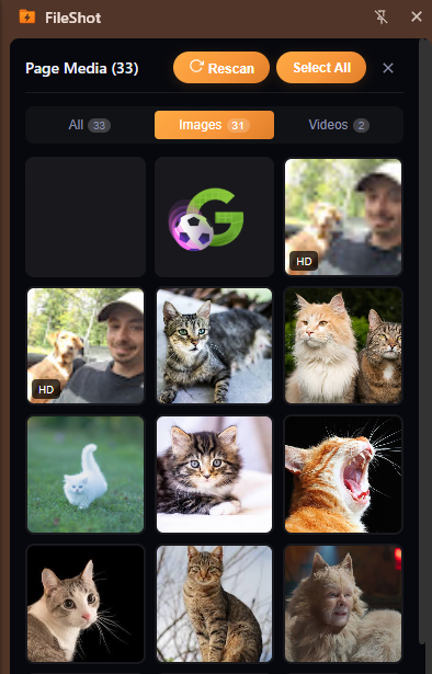 FileShot browser extension Page Media scanner showing images and videos found on a webpage