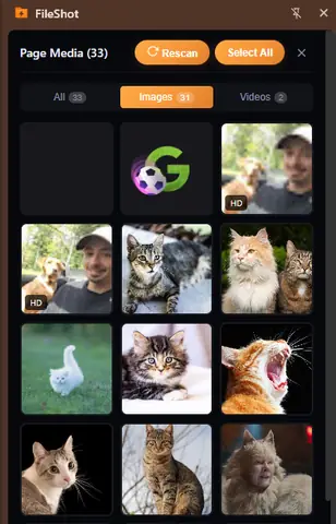 FileShot browser extension Page Media scanner showing images and videos found on a webpage